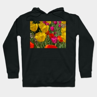 Tulip Garden Hoodie